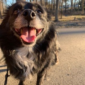 Meet your Posher, Frank